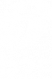 Logo D2F