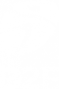 Logo D2F