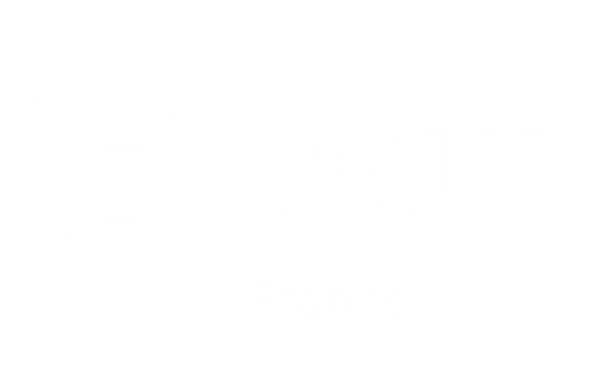 Logo De L'Entreprise Saur